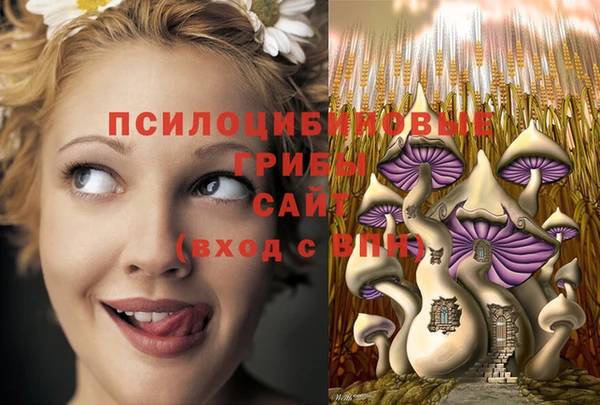 MDMA Алексеевка