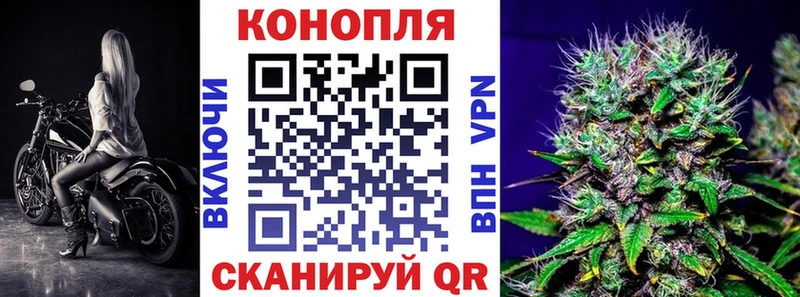 даркнет сайт  Фрязино  мега как войти  Конопля тримм 